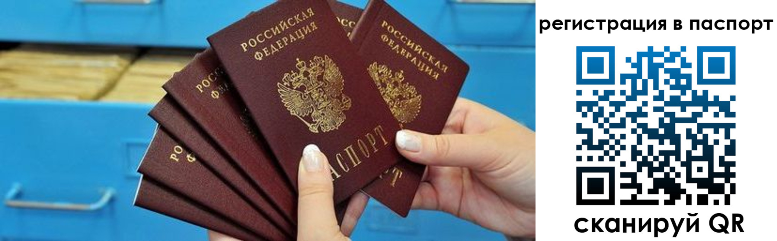 регистрация в Ельне